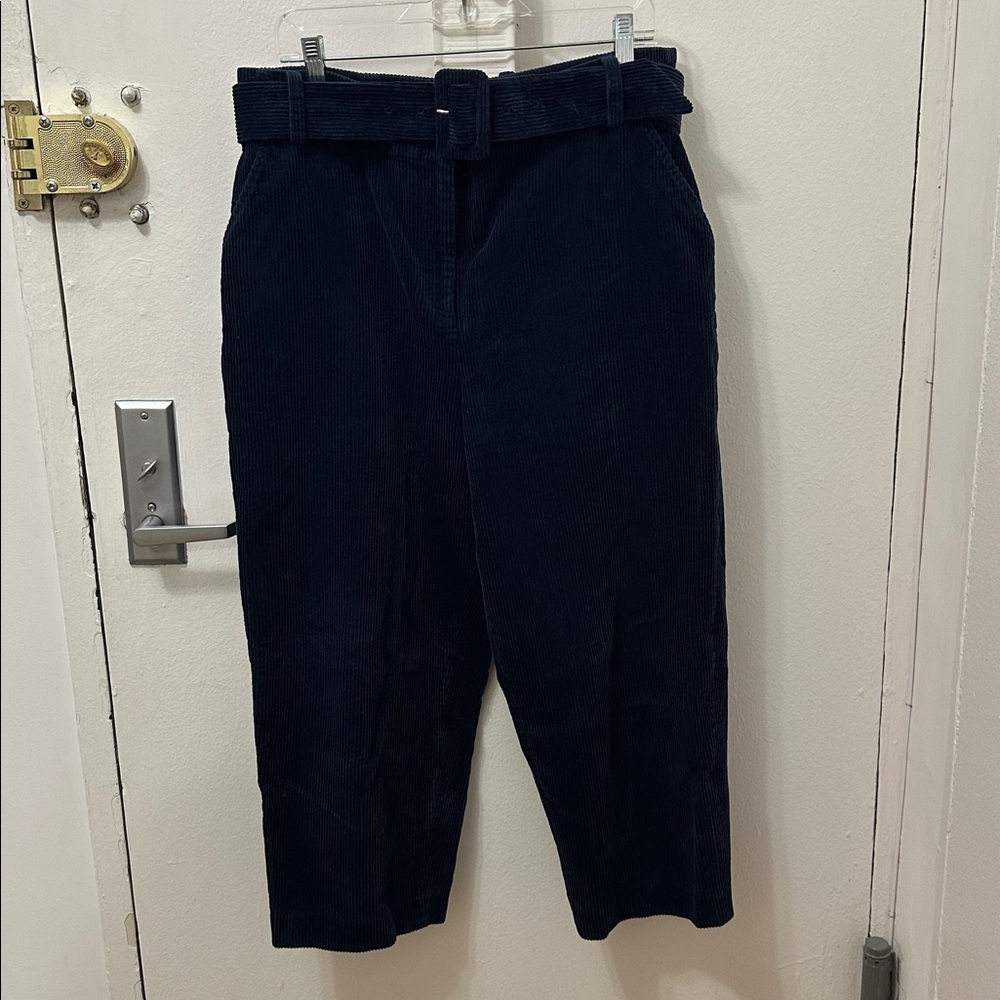 Whistles Dark Navy Corduroy barrel leg Pants with Matching Belt